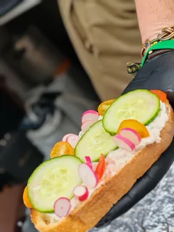 Galerie de photos Luluberlue