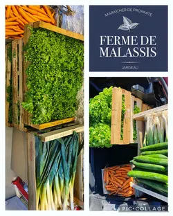 Galerie de photos LE CAMION QU’ON AIME